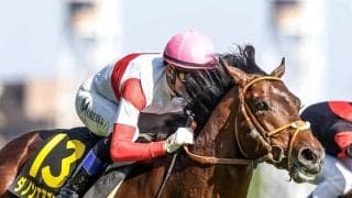 直線外ベターの京都芝 メインは8枠ダノンエアズロックに注目