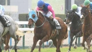 【ステイヤーズS予想】特殊な条件はリピーターに注意！ 前走が人気薄でもステイヤーズSでの好走実績があれば侮れない