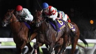 【カペラS想定馬・騎手】チカッパ、テイエムトッキュウなど21頭