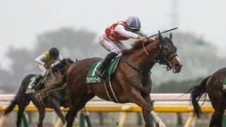 【朝日杯FS想定馬・騎手】アルテヴェローチェ、パンジャタワーなど16頭