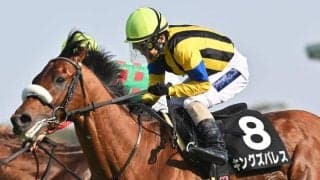 【中日新聞杯想定馬・騎手】キングズパレス、シランケドなど25頭