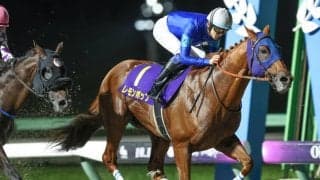 【チャンピオンズC】レモンポップは1枠2番