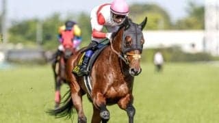 【今日の注目ポイント】中山でステイヤーズSと京都でチャレンジC