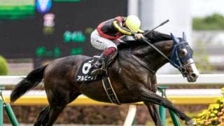 【チャレンジC予想】3歳馬優勢の一戦 25年中距離戦線の有力候補に名乗りを上げるのは？
