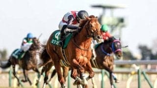 【ステイヤーズS予想】JRA最長距離の平地重賞 3度の急坂越えるスタミナの有無が勝敗のカギ