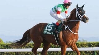 【競馬予想】チャンピオンズカップは人気馬に不安あり　人気薄の実力馬２頭に逆転の目