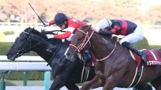 レッドベルオーブの競走馬登録抹消
