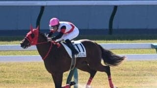 【京都4R新馬戦結果】パドトロワ産駒ナリノエンブレムが逃げ切り完勝