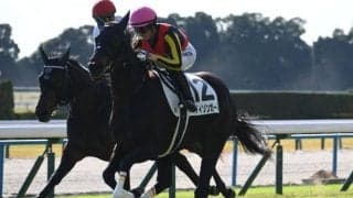 【京都5R新馬戦結果】リバティアイランドの半妹マディソンガールが初陣飾る