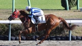 【新馬/中山6R】ヘニーヒューズ産駒 オリーブグリーンがデビューV