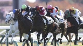 【新馬/中山5R】11番人気の伏兵ヴィヴァラリスが波乱を演出