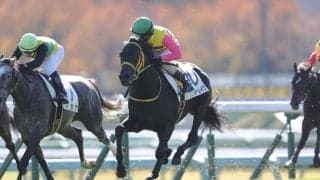 【中山3R】ウインブライト産駒 フクノブルーレイクが初勝利
