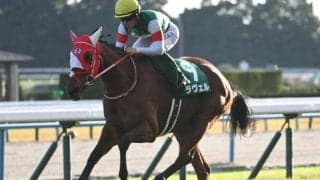 【チャレンジC結果】牝馬ラヴェルが完勝！ 22年アルテミスS以来の重賞2勝目