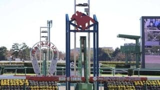 【ステイヤーズS】シュヴァリエローズが大接戦を制する…2着は12番人気シルブロン