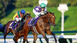 【チャンピオンズC予想】前走の初角での位置取りに注意！ 前哨戦の勝利を鵜呑みにできない人気馬とは