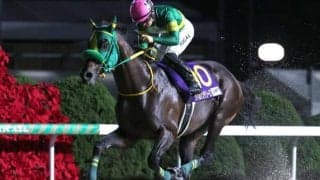 【AI予想・チャンピオンズC】新たなダート王の誕生に期待！ 本命は5歳にして完成の域に入った実力馬