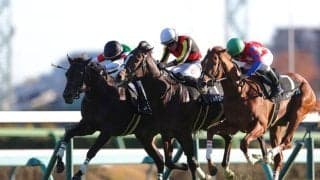 【葉牡丹賞】ヴィンセンシオがデビュー2連勝