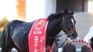 【ステイヤーズS】北村友「どっちかわからなかった」シュヴァリエローズが大接戦を制する