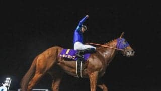 【今日の注目ポイント】チャンピオンズCでレモンポップがラストラン