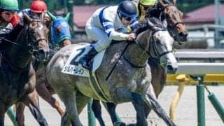 GI・2勝ノームコアの初仔 シルバーレインがこうやまき賞で2勝目狙う