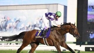 【チャンピオンズC予想】現役屈指のダート馬集結！ 速い上がりを使えるかがカギを握る