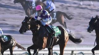 【競馬血統予想】チャンピオンズカップはキズナ産駒が圧倒的　今年のレースに出走する２頭は信頼できる？