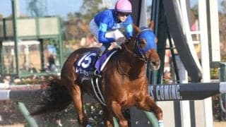 【チャンピオンズC予想】パターンから狙える今年の特注馬は？ 過去データから探るGIチャンピオンズC