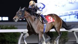 【高知・浦戸湾特別】エマージングロールが快勝…赤岡「距離向いたのかも」