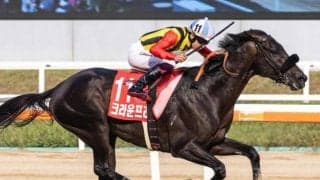 チャンピオンズCは好位インがベストポジション クラウンプライド＆ハギノアレグリアスが狙い目だ