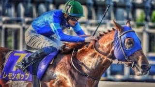 【チャンピオンズC・馬体重】レモンポップは516kg(+2)、ウィルソンテソーロは482kg(-4)