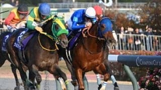 【チャンピオンズC結果】レモンポップが接戦を制し有終の美！ 史上2頭目の連覇達成！
