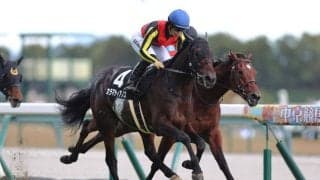 【こうやまき賞】カラマティアノスが2連勝