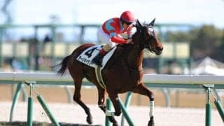 【中京4R】外国産ラージギャラリーが3馬身差完勝