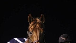 国内G1無敗のレモンポップ引退式…坂井瑠「今日が1番嬉しい…ホッとした」