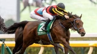 2歳女王決定戦・阪神JFなど3重賞と香港国際競走/今週の競馬界の見どころ