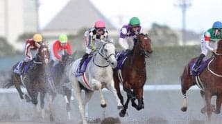 【チャンピオンズC】武豊「まだ不器用だけど来年が楽しみ」レース後ジョッキーコメント