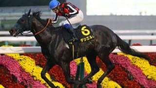 【中日新聞杯登録馬】デシエルトなど24頭