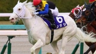 4連勝で決めた一族の悲願 白毛初のGI制覇から4年
