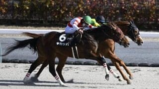 【カペラS見どころ】充実一途のチカッパに期待