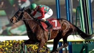 【中日新聞杯見どころ】コスモキュランダが年長馬を一蹴する