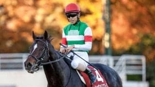 【ステイヤーズS】売上は32億1736万1600円で昨年より約1.9億円減少