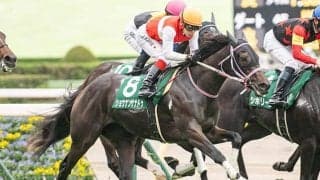 【阪神JF出走馬決定順】ショウナンザナドゥら400万円組で9分の2抽選