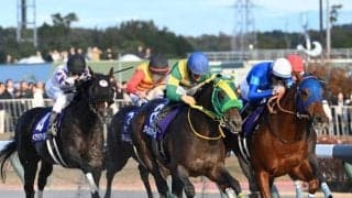 【チャンピオンズC】売上は175億3881万200円で昨年より約6億円増加