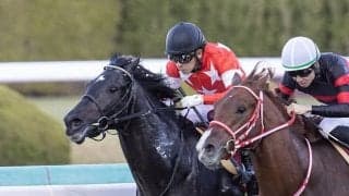 【先週のJRA抹消馬】20年デイリー杯2歳S覇者レッドベルオーブ、チューリップ賞2着馬ピンハイなど