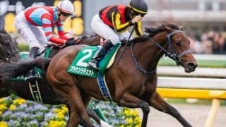 世界を股にかけるフォーエバーヤングの半妹 阪神JFを勝利で飾り来春の主役候補に名乗り上げるか