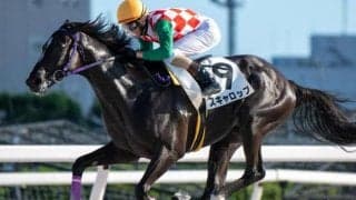 【大井・ジェムストーン賞枠順】距離短縮で巻き返し図るスキャロップは6枠9番