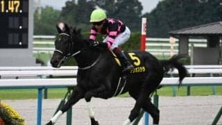 【AI予想・阪神JF】2歳女王決定戦は前走1着馬が圧倒！ 前走で敗れた馬は重賞でのレース経験が必要不可欠