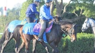 きょうだいにマカヒキやウリウリ 初戦に向け調整続くアッサジャン/関東馬メイクデビュー情報