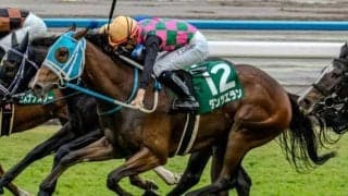 宝塚記念2勝の名オーナーが22年ぶりのJRA・GI制覇へ ファンタジーS覇者がビッグタイトル狙う