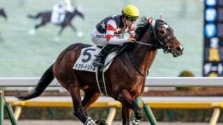 【中日新聞杯展望】前走で凡走した馬が巻き返して高配当を演出